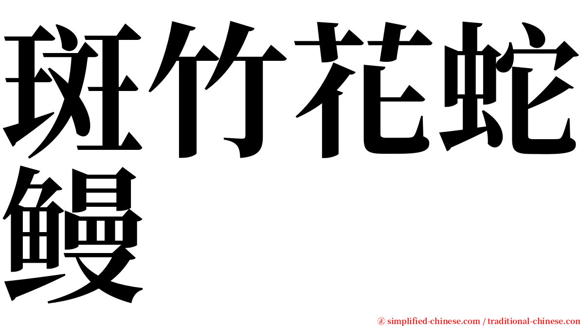 斑竹花蛇鳗 serif font