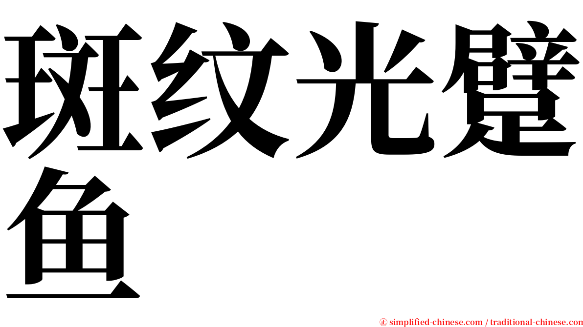 斑纹光躄鱼 serif font