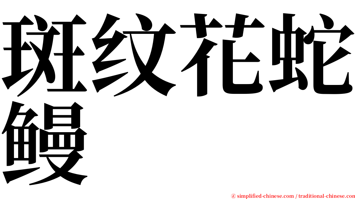 斑纹花蛇鳗 serif font