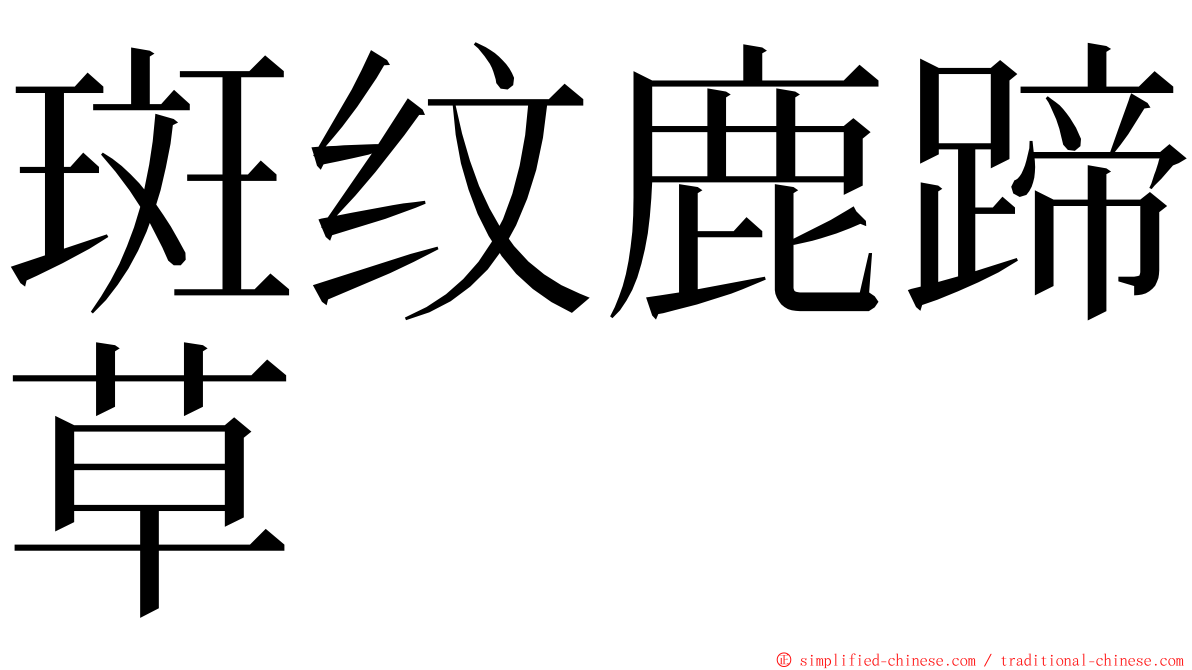 斑纹鹿蹄草 ming font