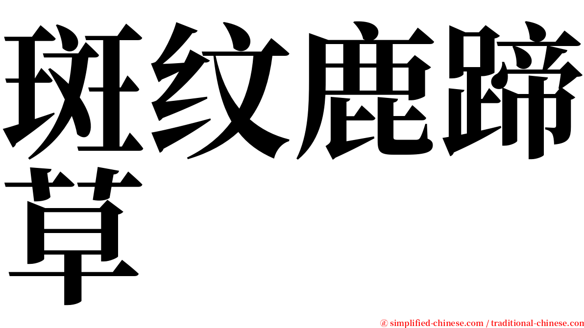 斑纹鹿蹄草 serif font