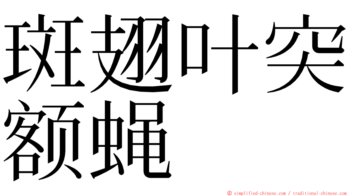 斑翅叶突额蝇 ming font