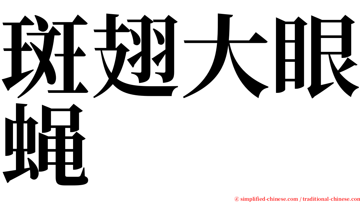 斑翅大眼蝇 serif font