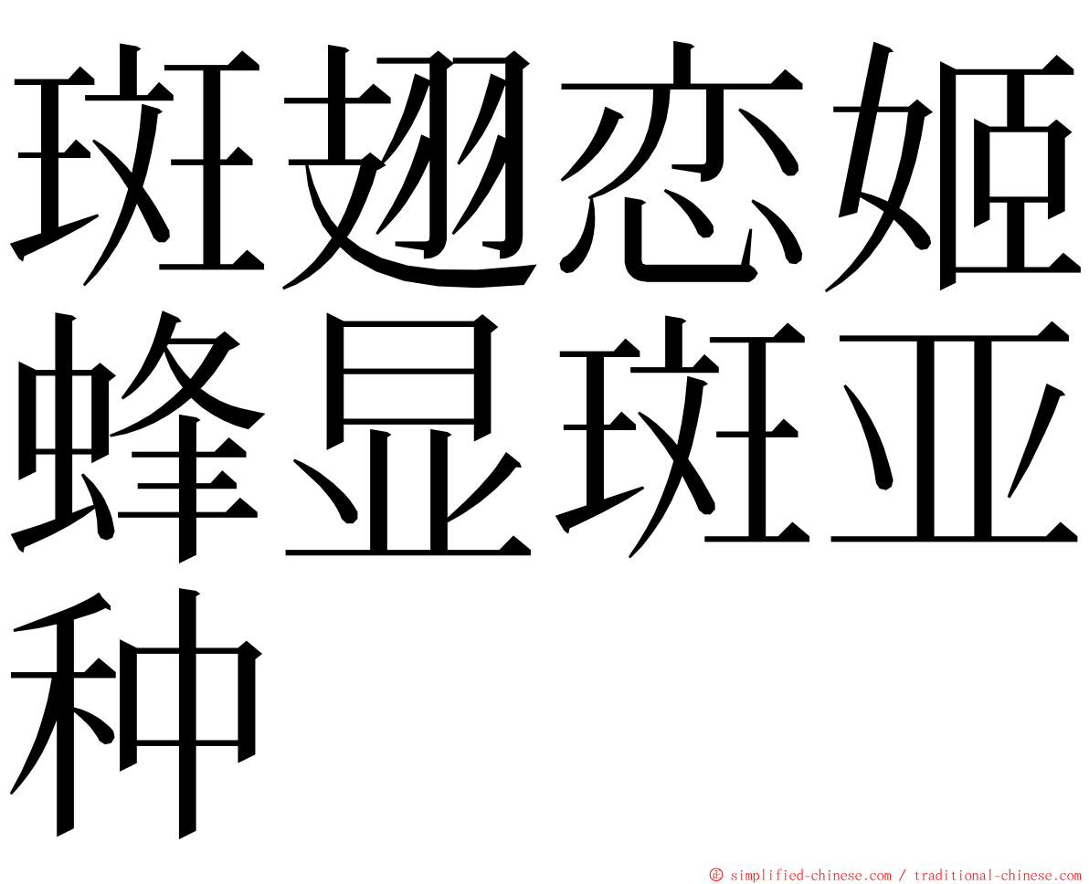 斑翅恋姬蜂显斑亚种 ming font