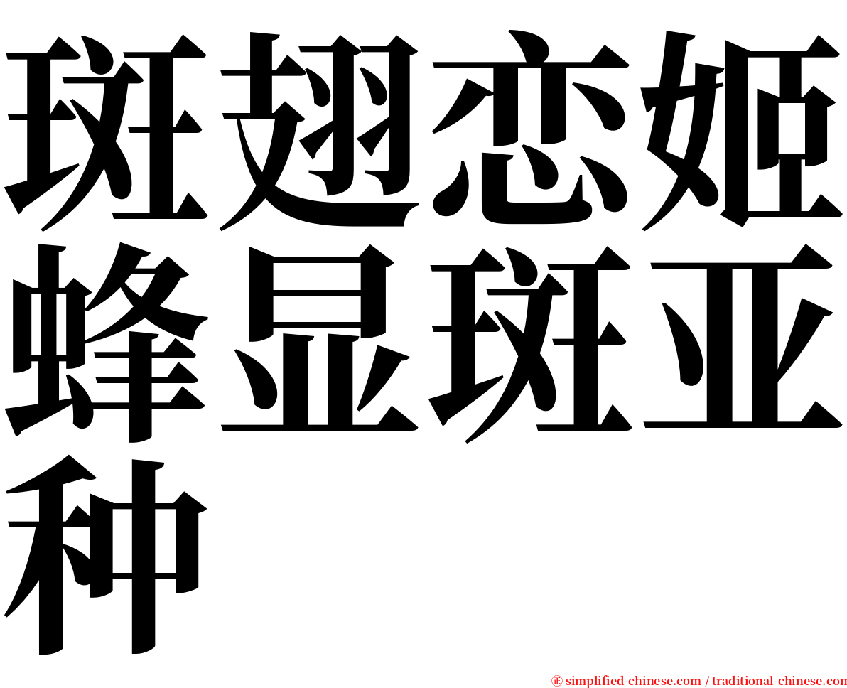 斑翅恋姬蜂显斑亚种 serif font