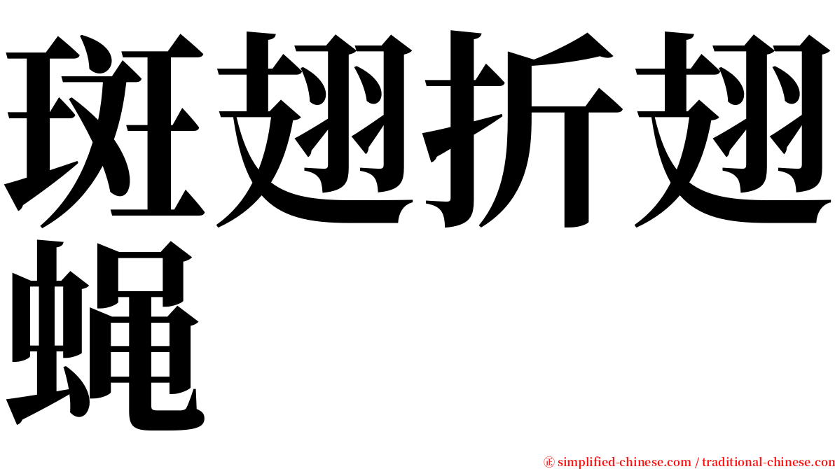 斑翅折翅蝇 serif font