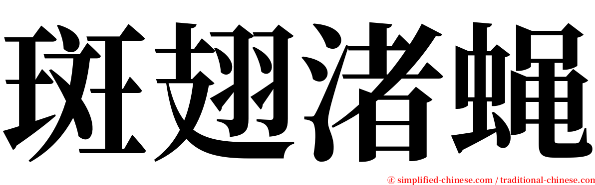 斑翅渚蝇 serif font