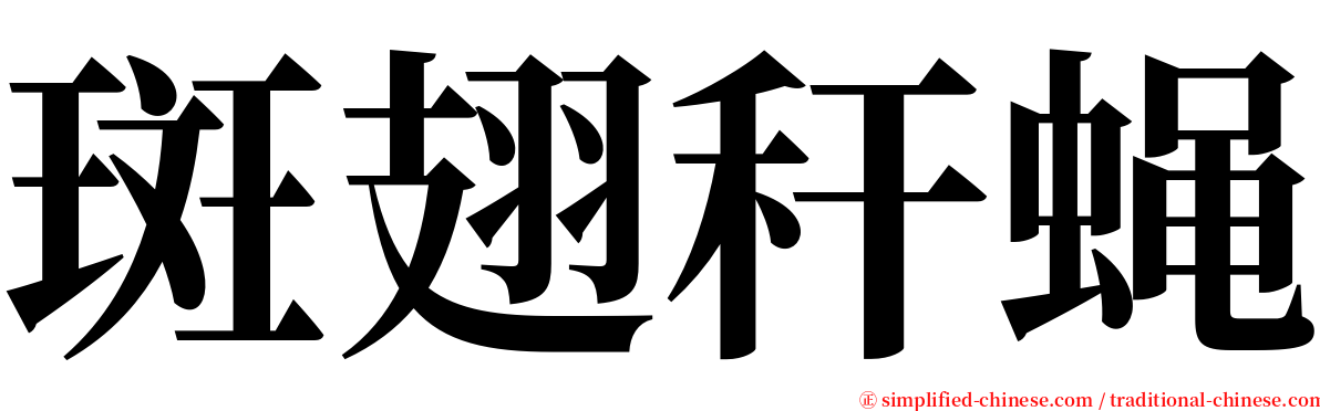 斑翅秆蝇 serif font