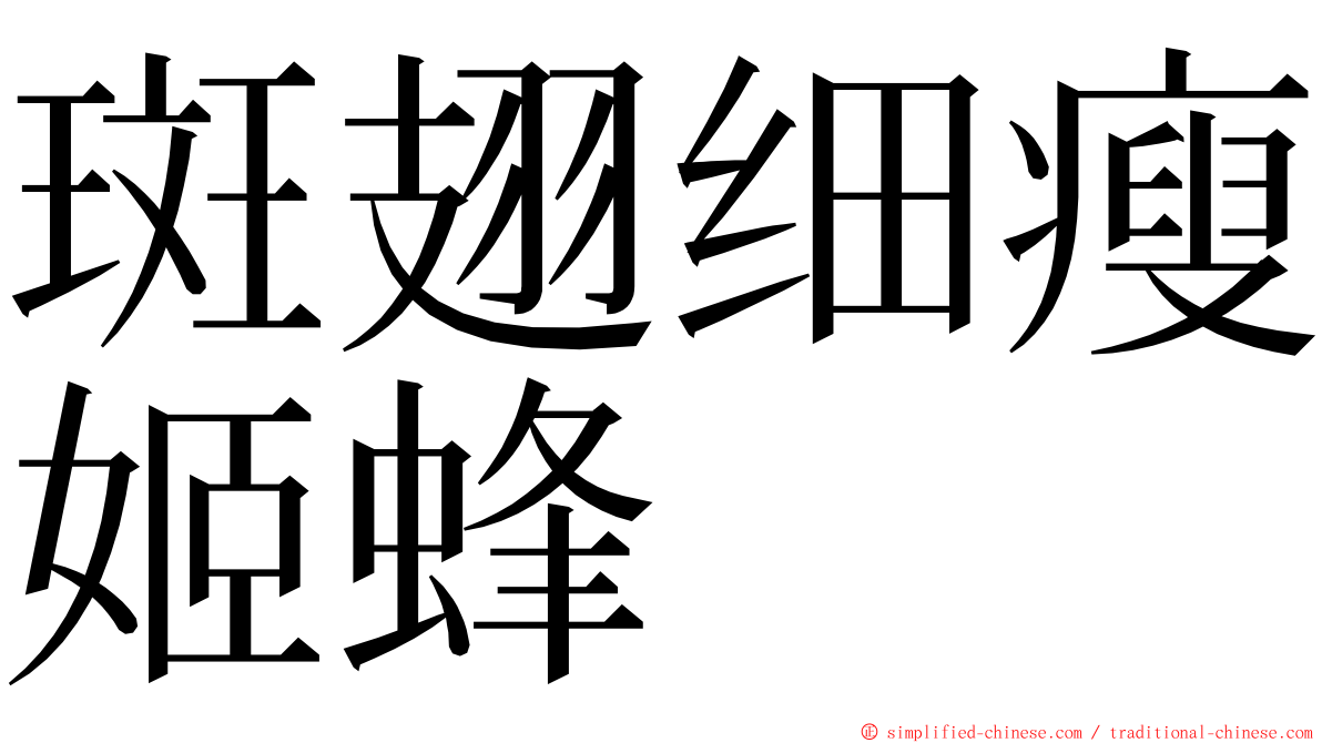 斑翅细瘦姬蜂 ming font