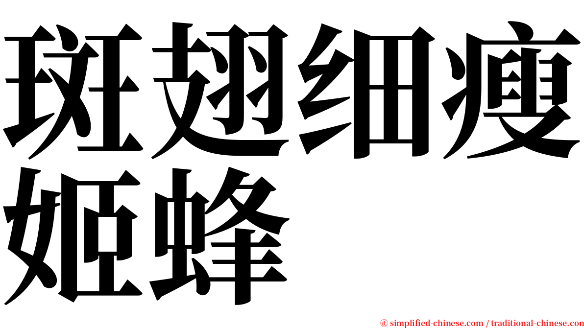 斑翅细瘦姬蜂 serif font