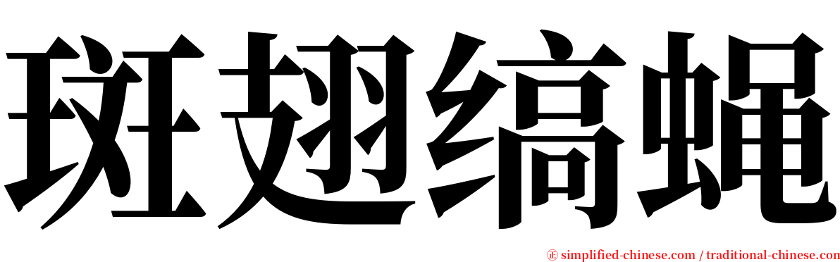 斑翅缟蝇 serif font