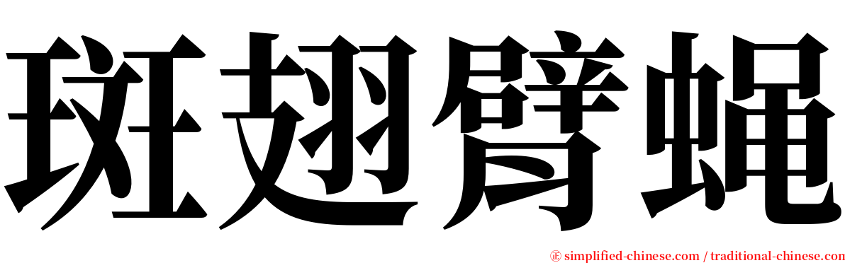 斑翅臂蝇 serif font