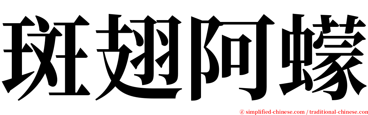 斑翅阿蠓 serif font