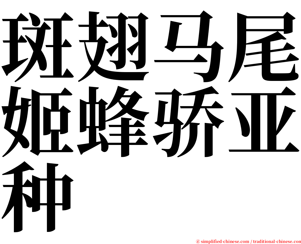 斑翅马尾姬蜂骄亚种 serif font