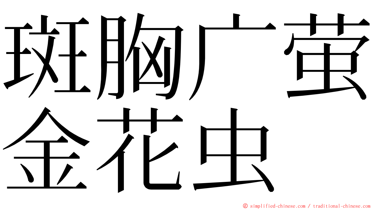 斑胸广萤金花虫 ming font