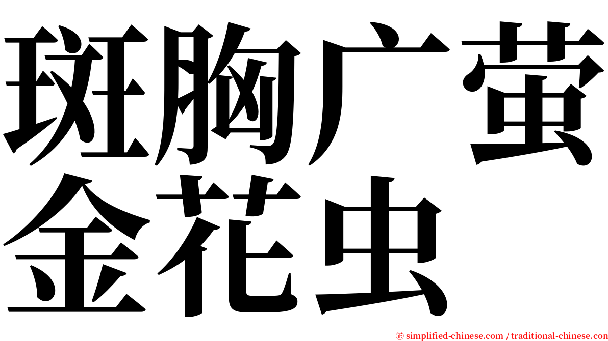 斑胸广萤金花虫 serif font