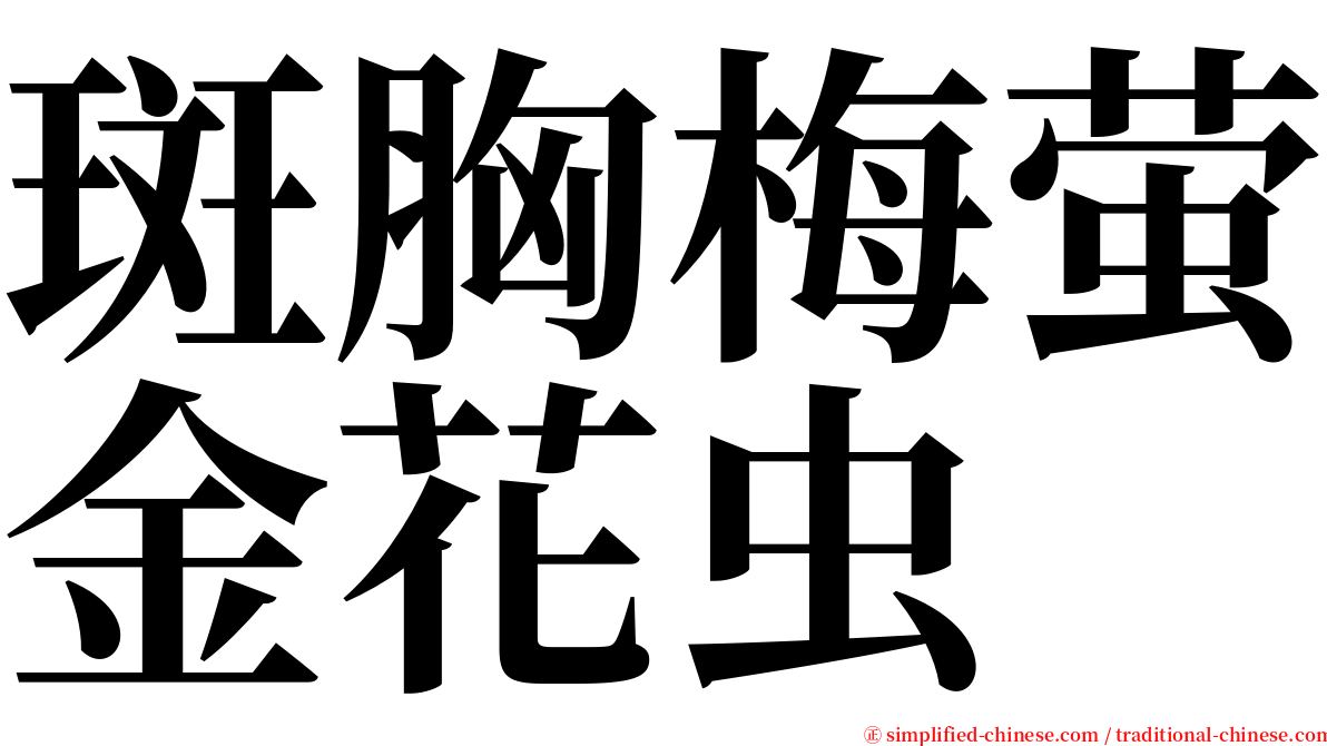 斑胸梅萤金花虫 serif font