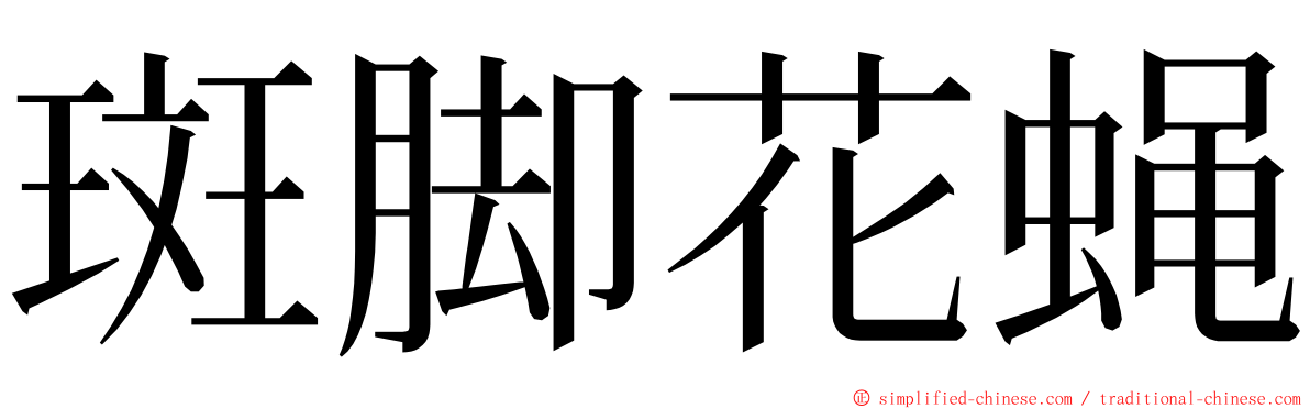 斑脚花蝇 ming font