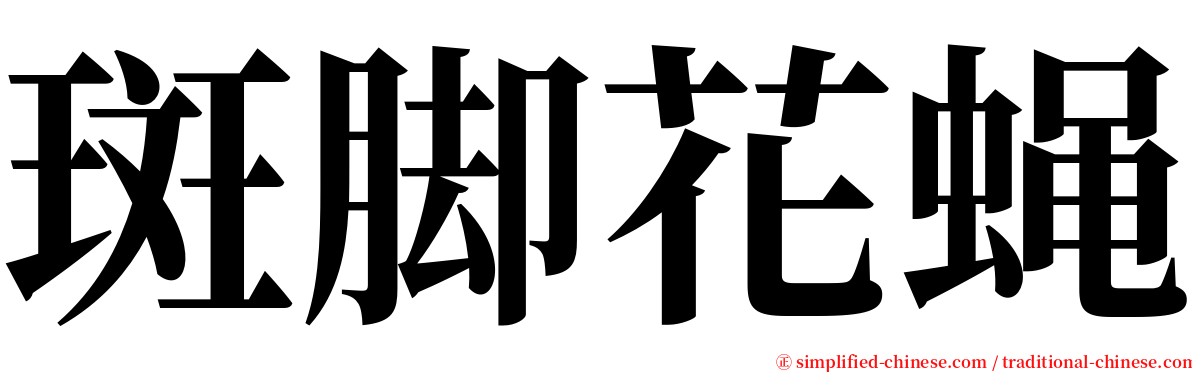 斑脚花蝇 serif font