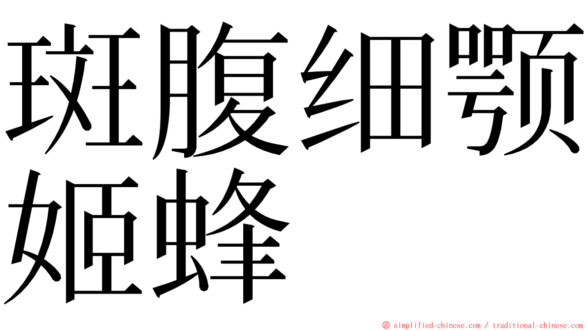 斑腹细颚姬蜂 ming font