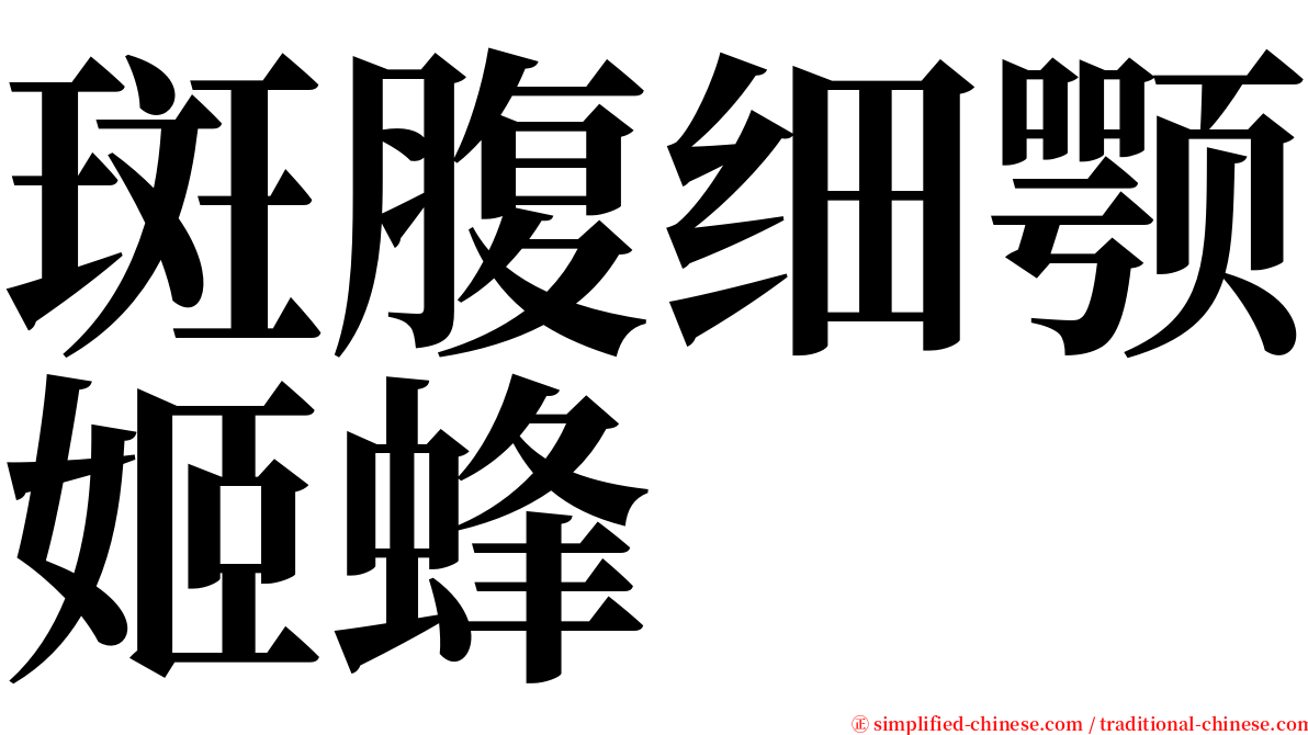 斑腹细颚姬蜂 serif font