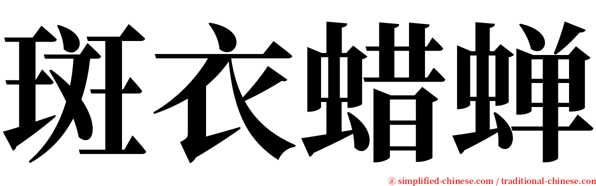 斑衣蜡蝉 serif font