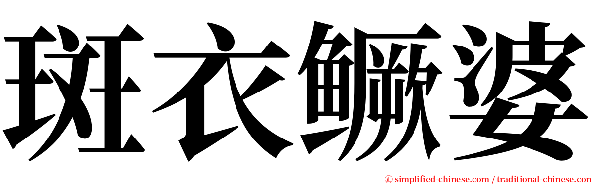 斑衣鳜婆 serif font