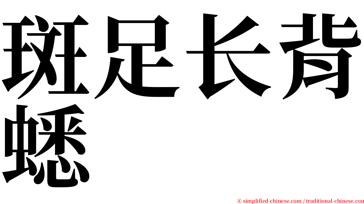 斑足长背蟋 serif font