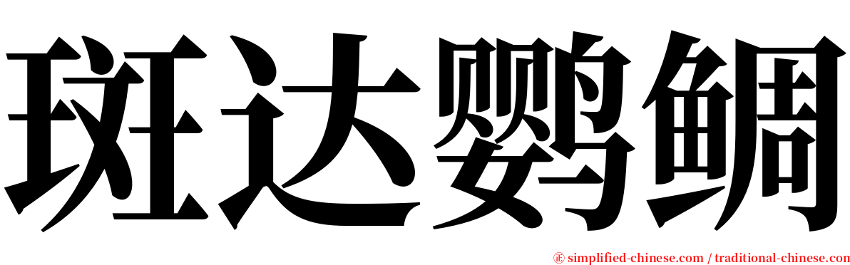 斑达鹦鲷 serif font