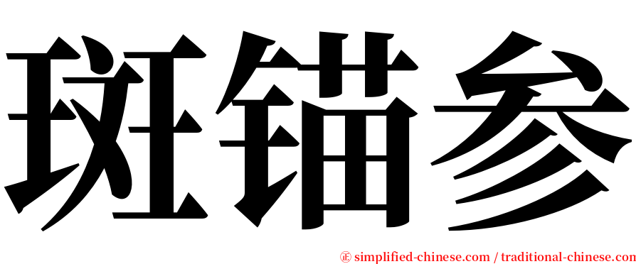 斑锚参 serif font