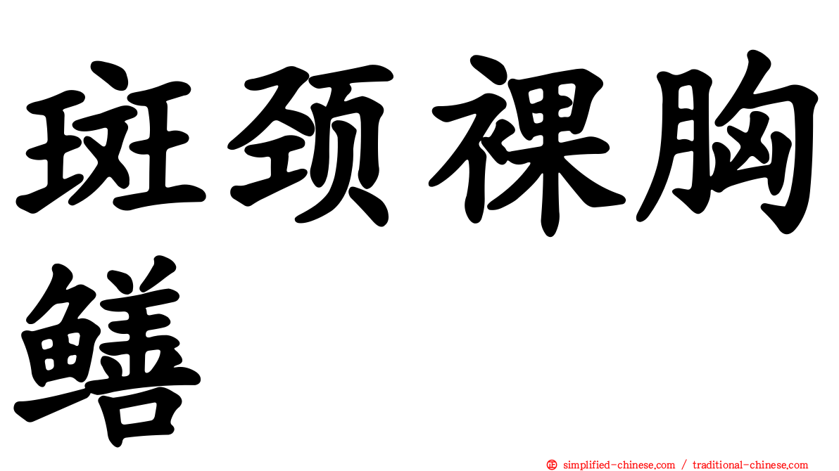 斑颈裸胸鳝