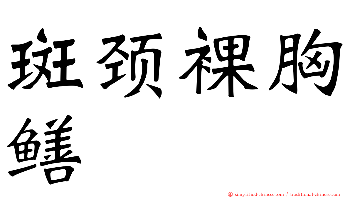 斑颈裸胸鳝