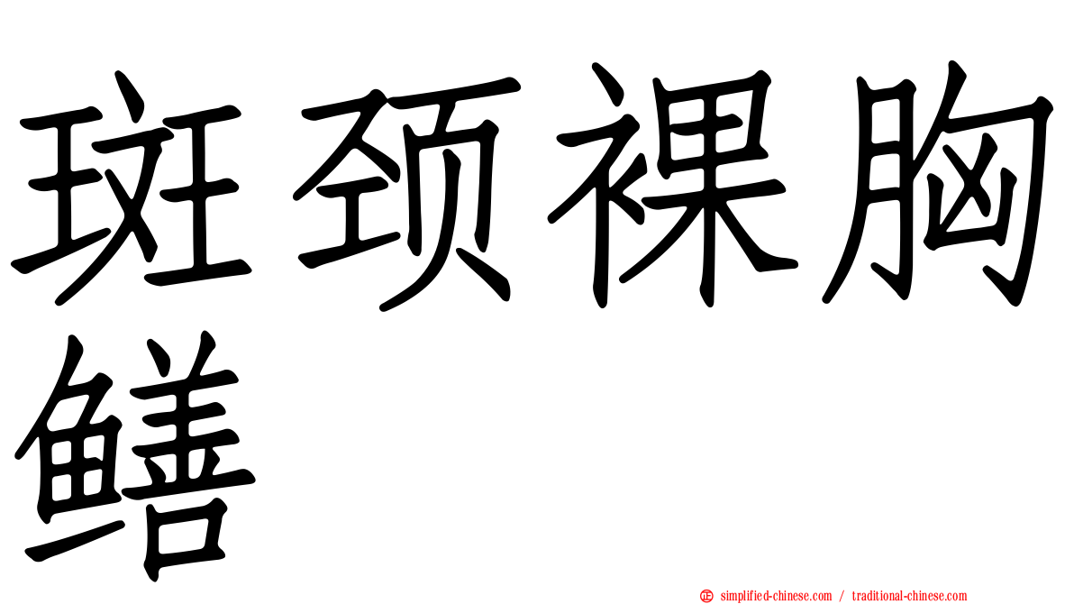 斑颈裸胸鳝