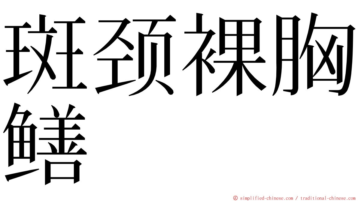 斑颈裸胸鳝 ming font