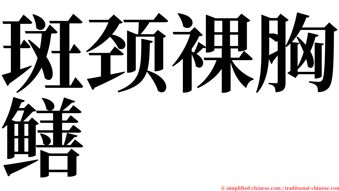 斑颈裸胸鳝 serif font