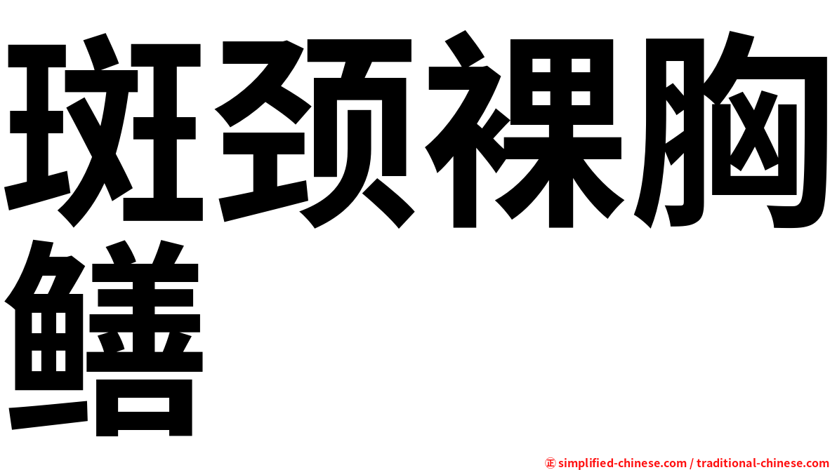 斑颈裸胸鳝