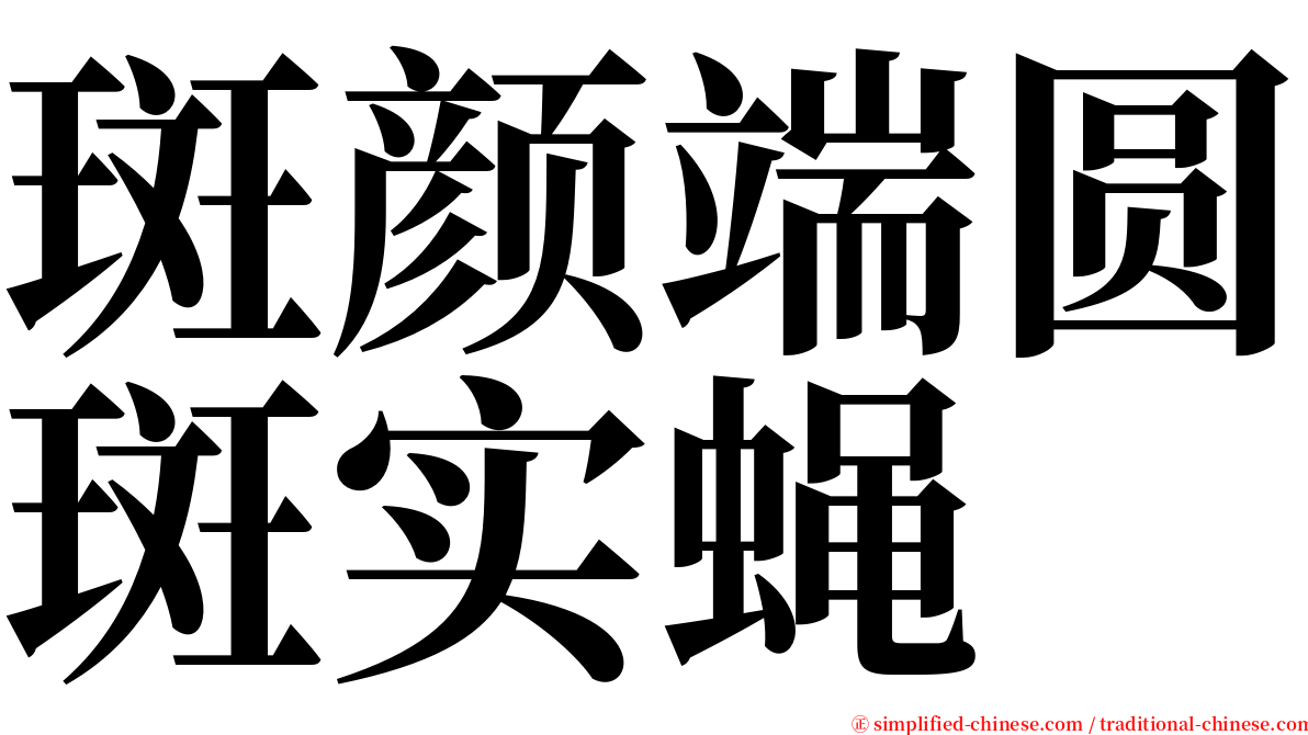 斑颜端圆斑实蝇 serif font