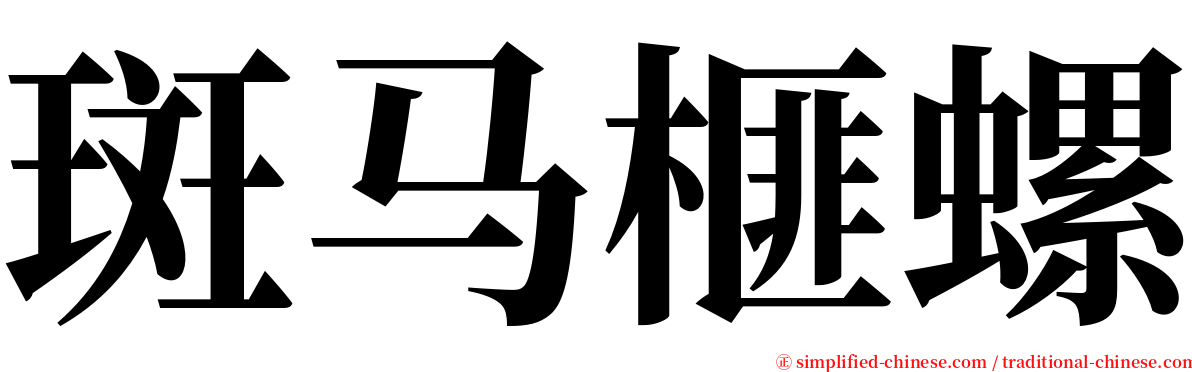 斑马榧螺 serif font