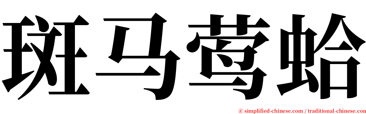 斑马莺蛤 serif font