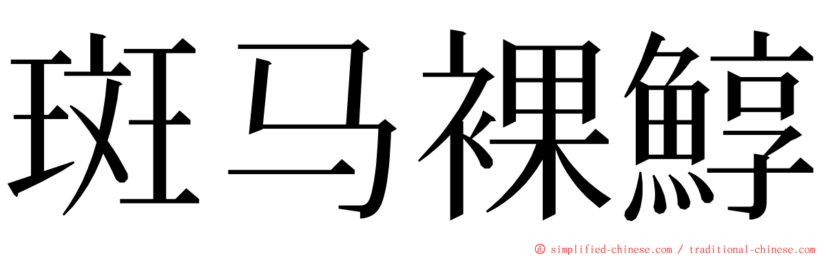 斑马裸鯙 ming font