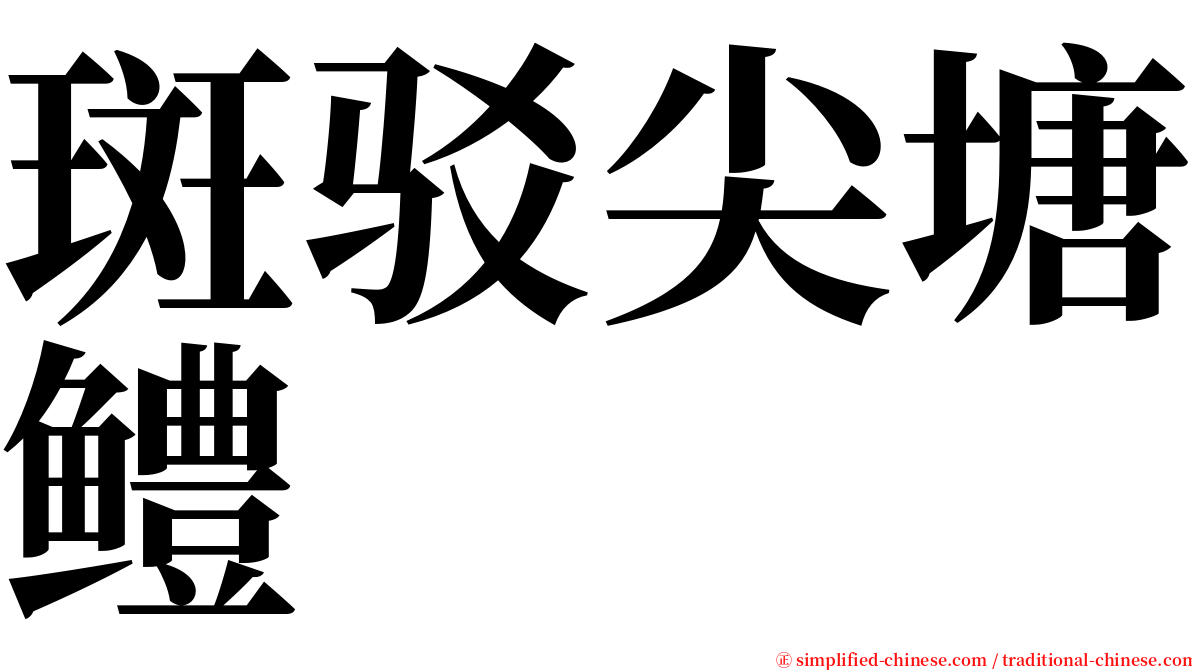 斑驳尖塘鳢 serif font