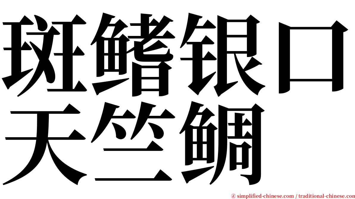 斑鳍银口天竺鲷 serif font