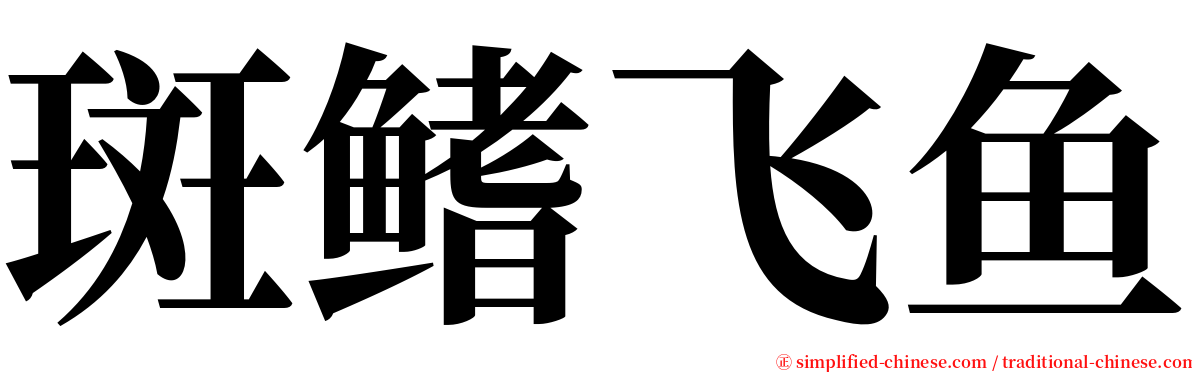 斑鳍飞鱼 serif font