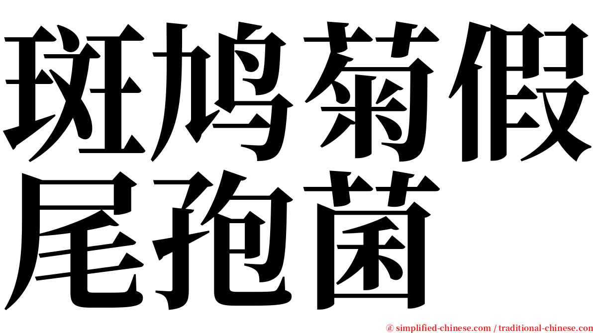 斑鸠菊假尾孢菌 serif font