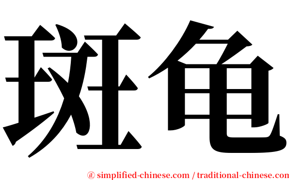 斑龟 serif font