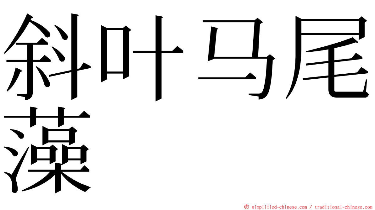 斜叶马尾藻 ming font