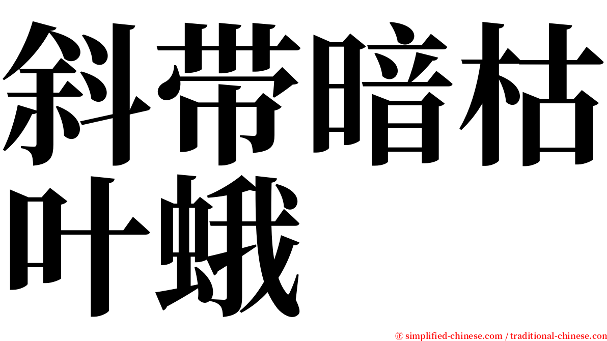 斜带暗枯叶蛾 serif font