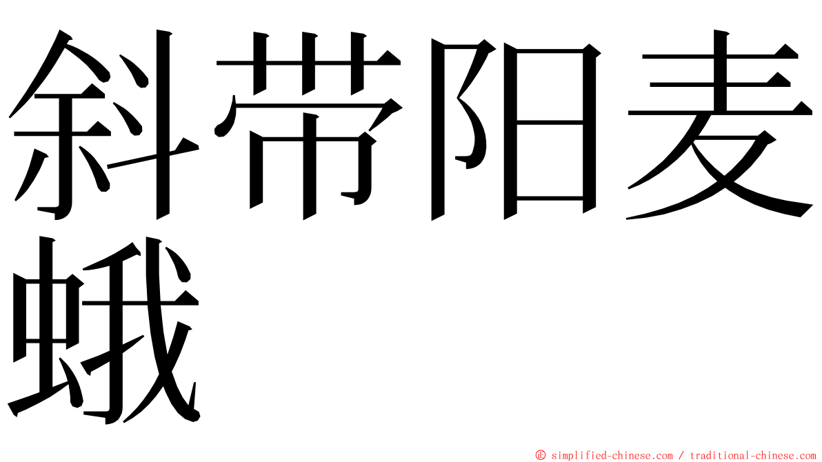 斜带阳麦蛾 ming font