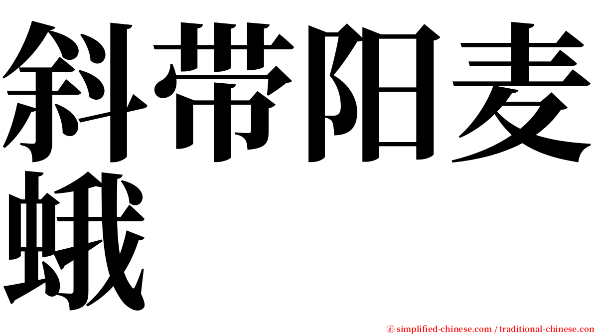 斜带阳麦蛾 serif font