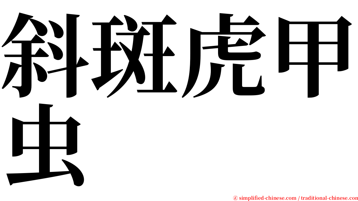 斜斑虎甲虫 serif font